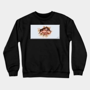 Fear Crewneck Sweatshirt